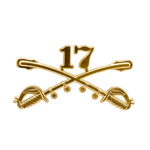 17th cavalry cross sabers insignia hat pin for military hats.