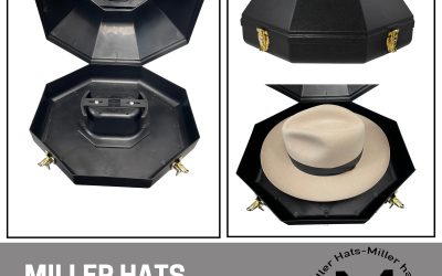 Hat Traveling Box