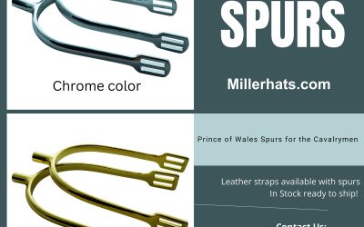 Prince of Wales Military Spurs